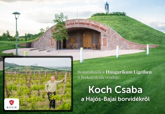 Koch Csaba Borest