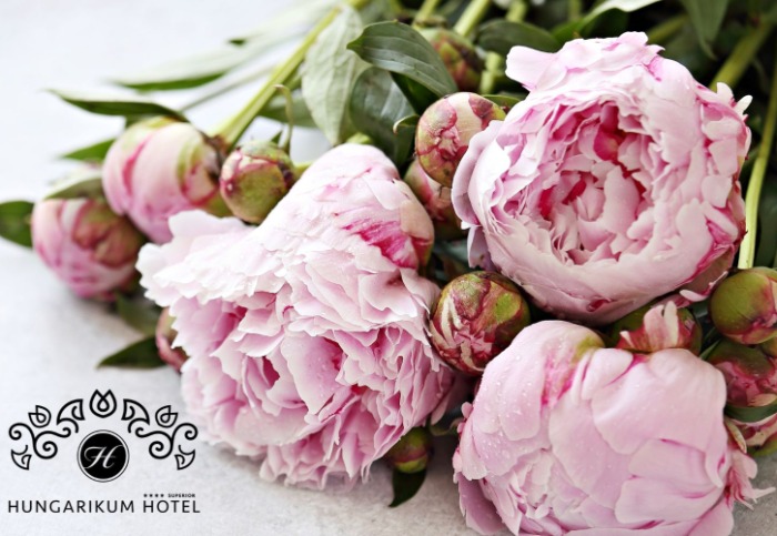 Pünkösdi programok a Hungarikum Ligetben