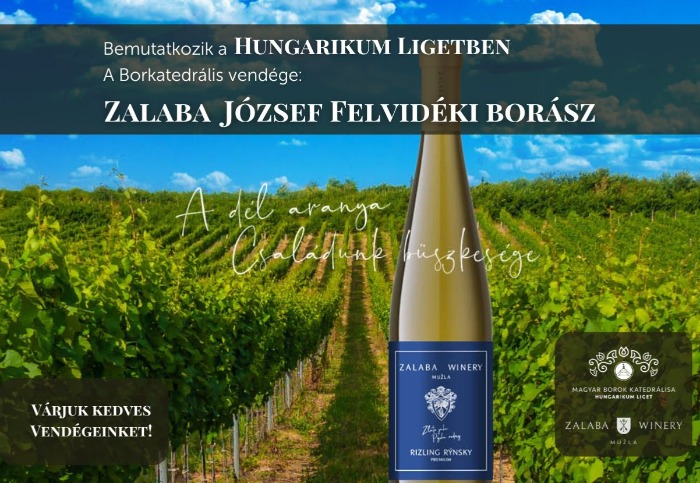 Zalaba József - Felvidéki borász borestje a Borkatedrálisban