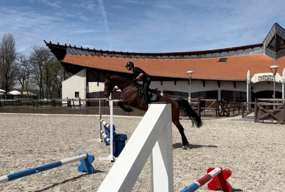 Hungarikum Liget Szabadidő Lovas Verseny - Hobby Horse