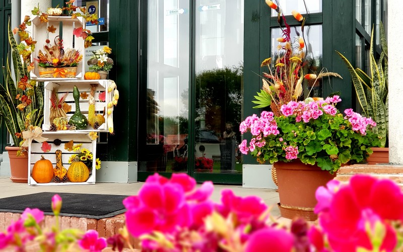 Hotel Club Tisza***  - Bejárat őszi dekoráció