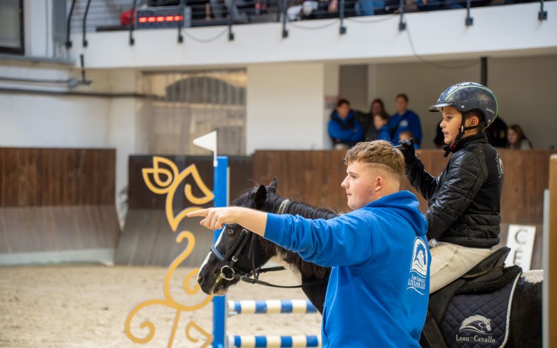 DSC00010-Enhanced-NR