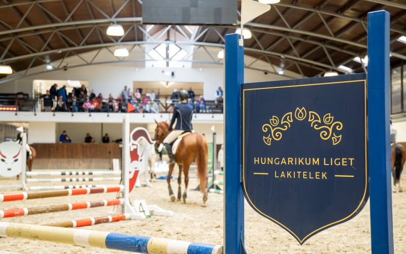 DSC09984-Enhanced-NR