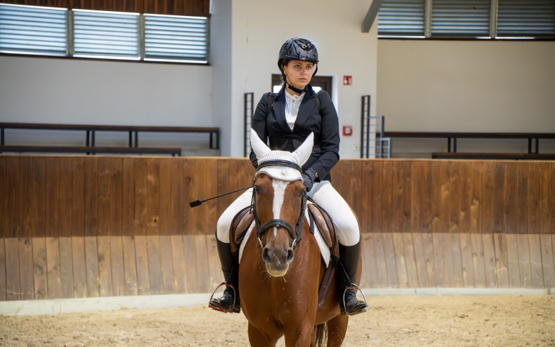 DSC09991-Enhanced-NR