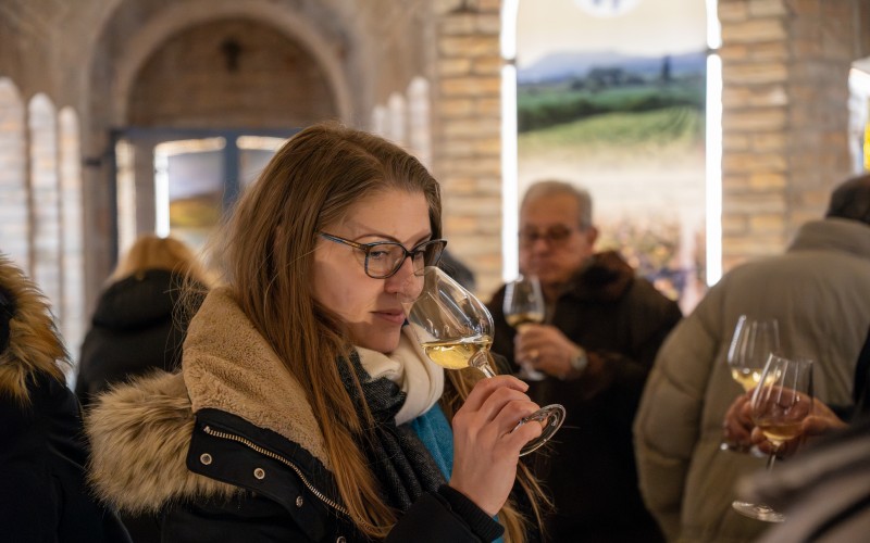 DSC01740-Enhanced-NR