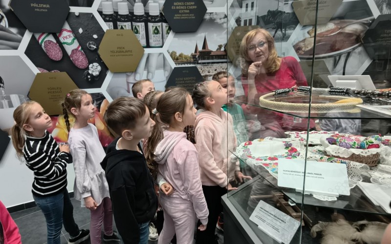 558169041_1866743530941411_2151151095875041916_n