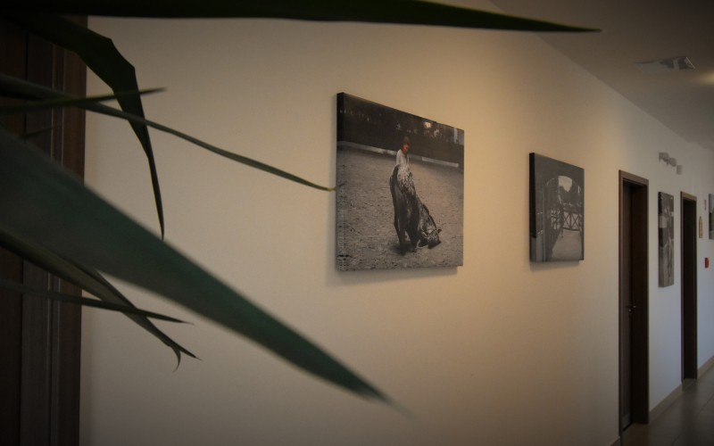 Kincsem Fogadó - Folyosó