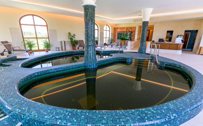 Kamillavirág Wellness 2