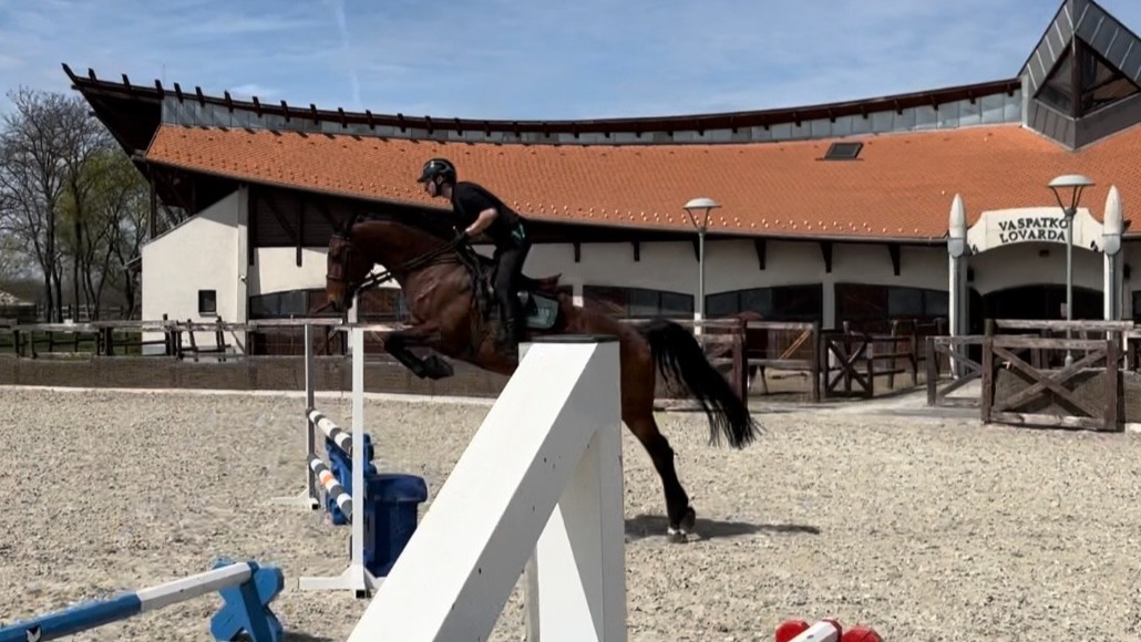 Hobby Horse Szabadidő Lovas Verseny